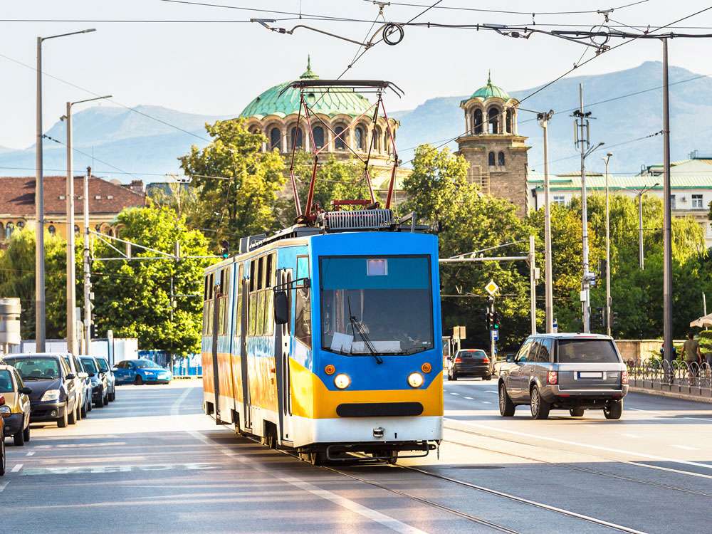 Sofia